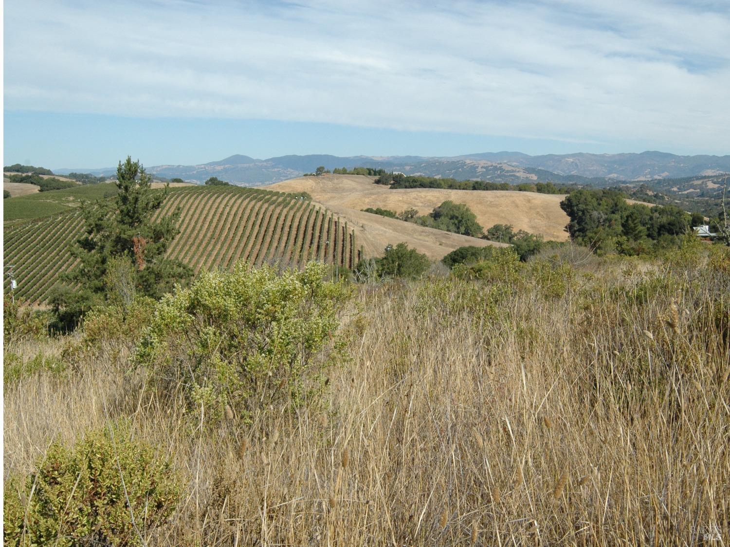 11005 Chalk Hill Road Healdsburg, CA 95448 - Photo 10 of 10 a view of ocean view with beach