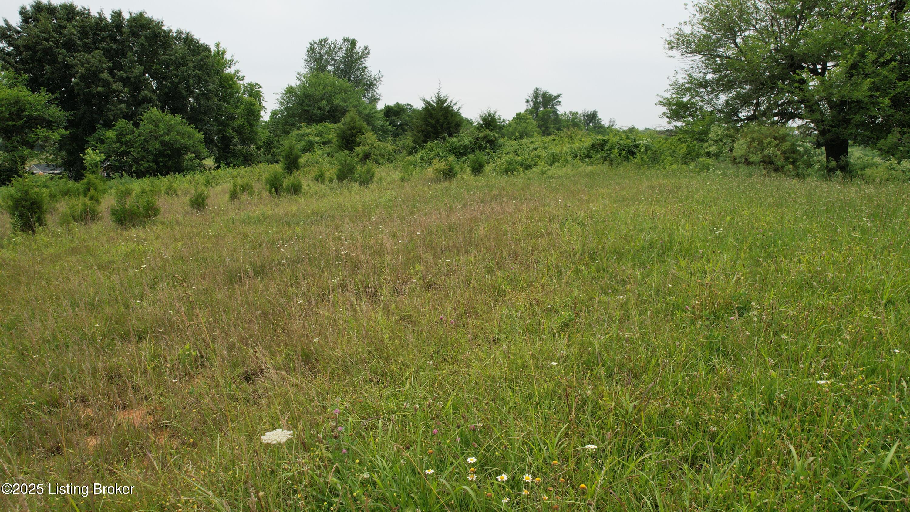 0 Upton Road Upton, KY 42784 - Photo 15 of 71 DJI_0926