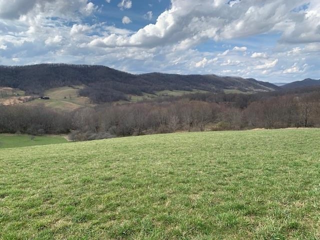 Tbd Big Valley Road Monterey, VA 24465 - Photo 5 of 17 Gallery Image 5