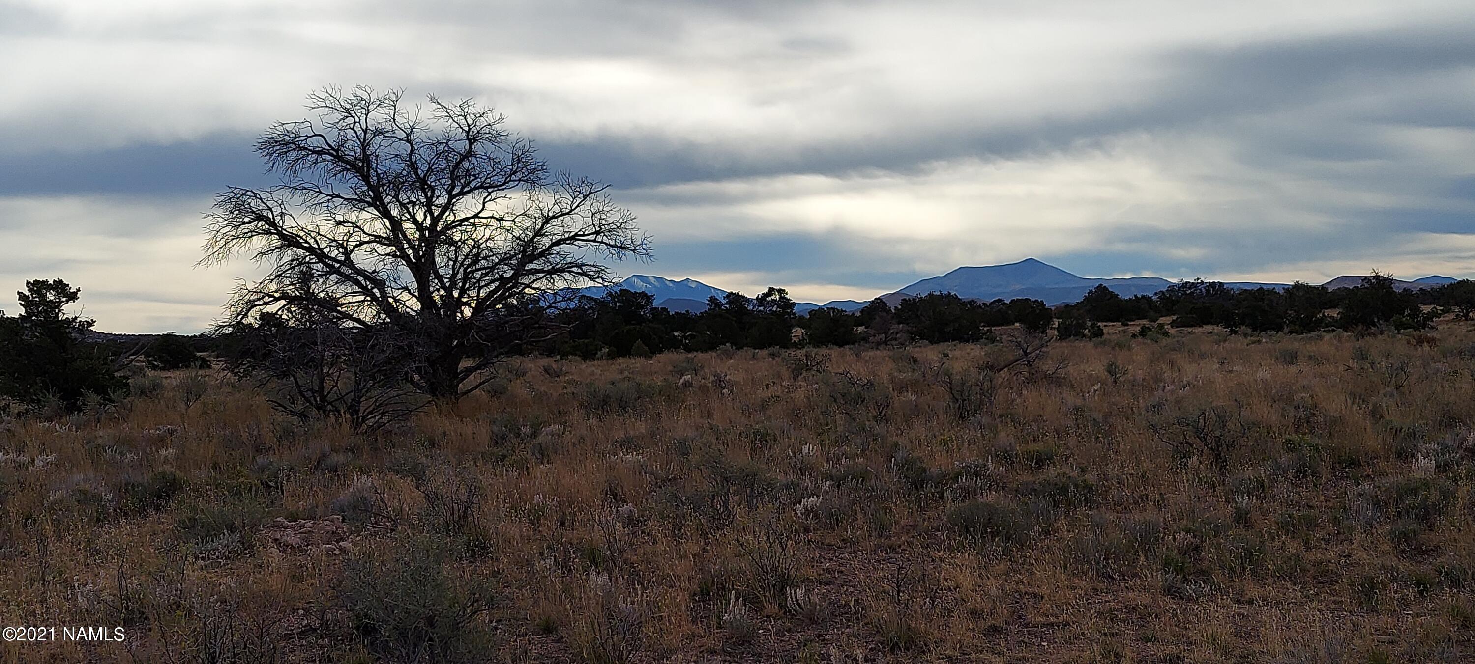 6707 North S Rim Ranch Road, Unit 255 Williams, AZ 86046 - Photo 30 of 63 20211102_095529