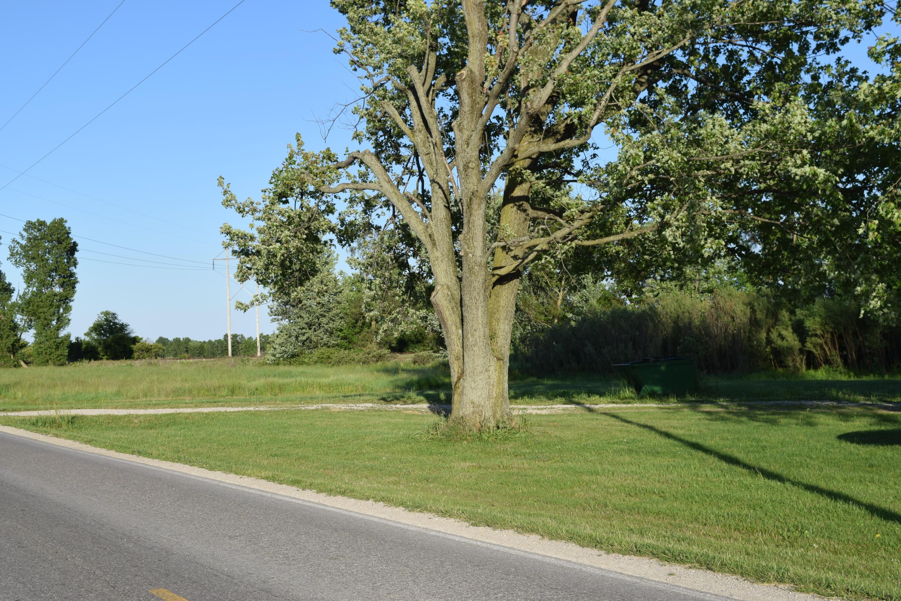 10327 Larue-Mt Victory Road La Rue, OH 43332 - Photo 5 of 30 Gallery Image 5