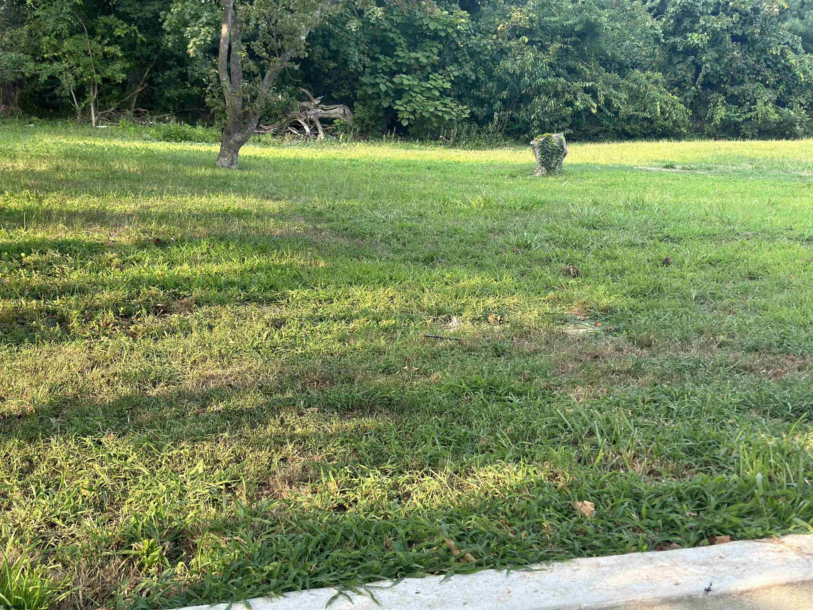 2 Creek Road Absecon, NJ 08201 - Photo 19 of 24 a view of outdoor space with a yard