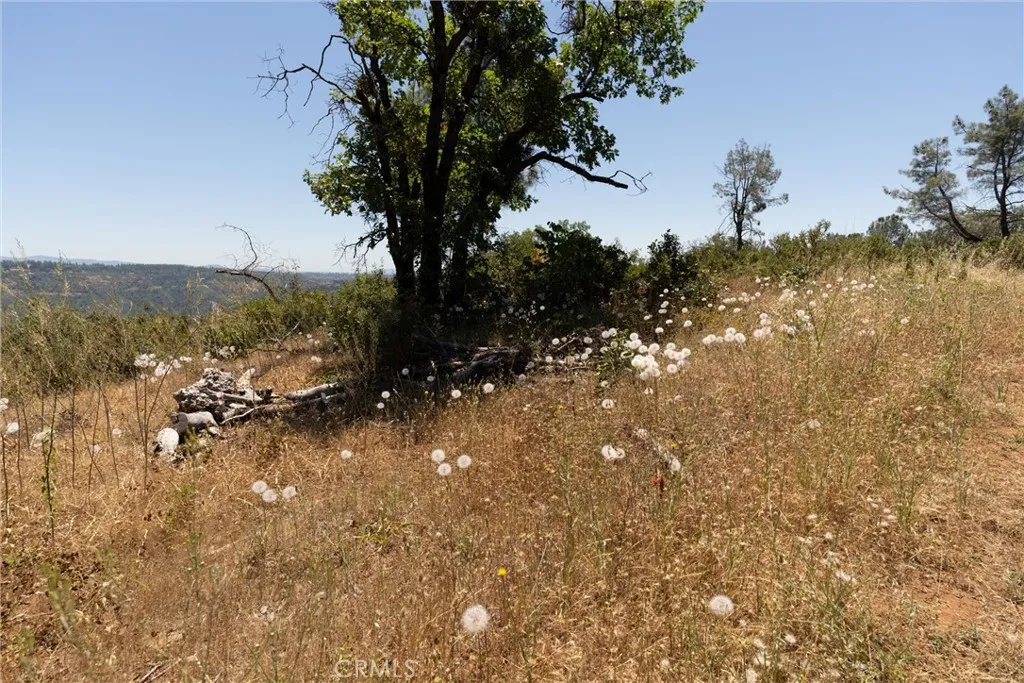 0 Doe Mill Road Magalia, CA 95954 - Photo 14 of 50