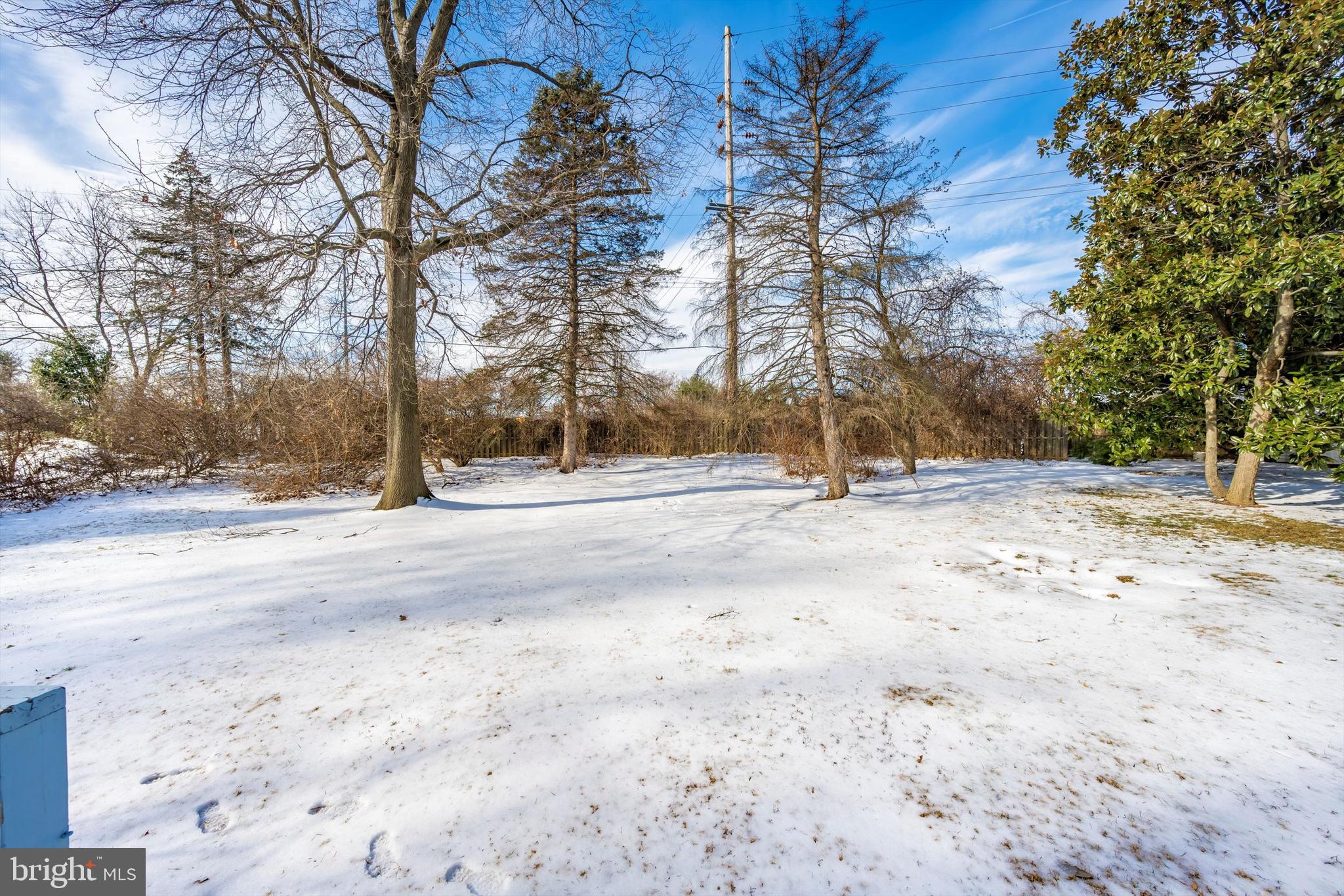 107 Fairview Avenue Frederick, MD 21701 - Photo 46 of 53 Backs to trees