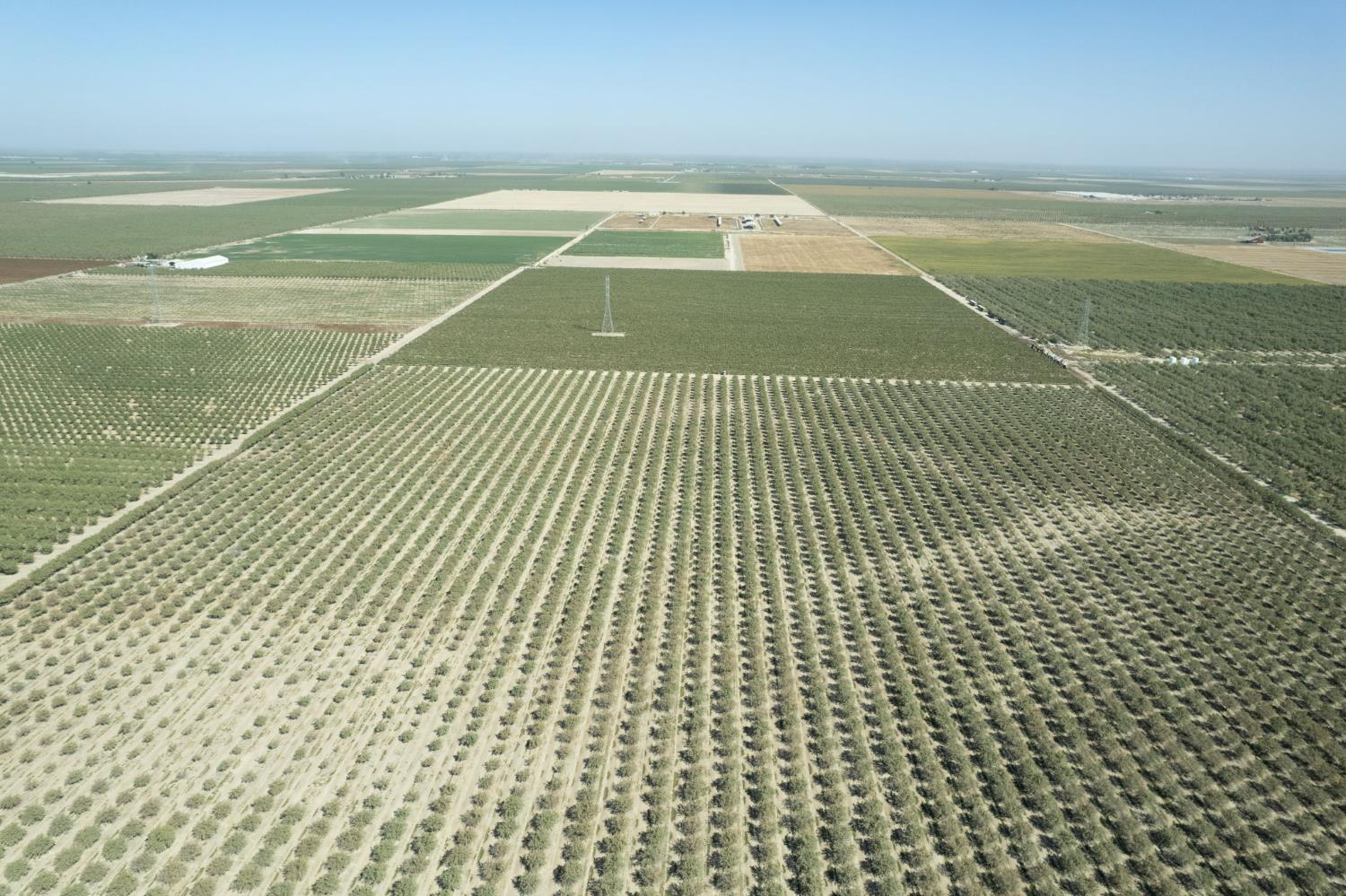 0 Manning Avenue Fresno, CA 93706 - Photo 11 of 20 a view of a tennis court