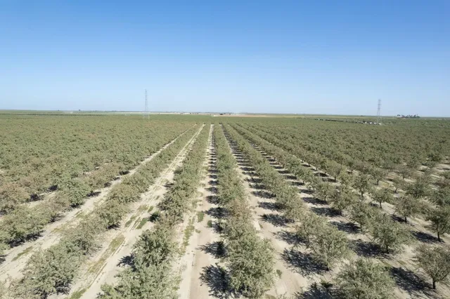 an aerial view of beach and ocean view