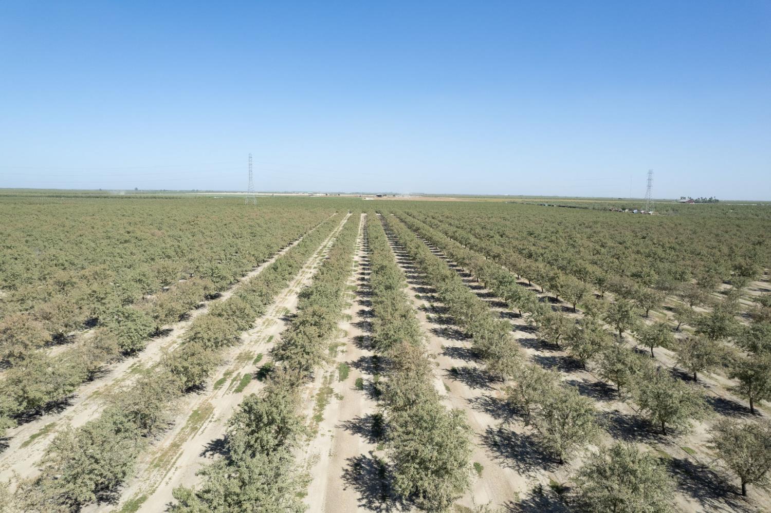 0 Manning Avenue Fresno, CA 93706 - Photo 14 of 20 an aerial view of beach and ocean view