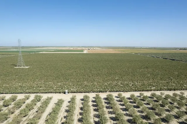 a view of an ocean beach and a mountain