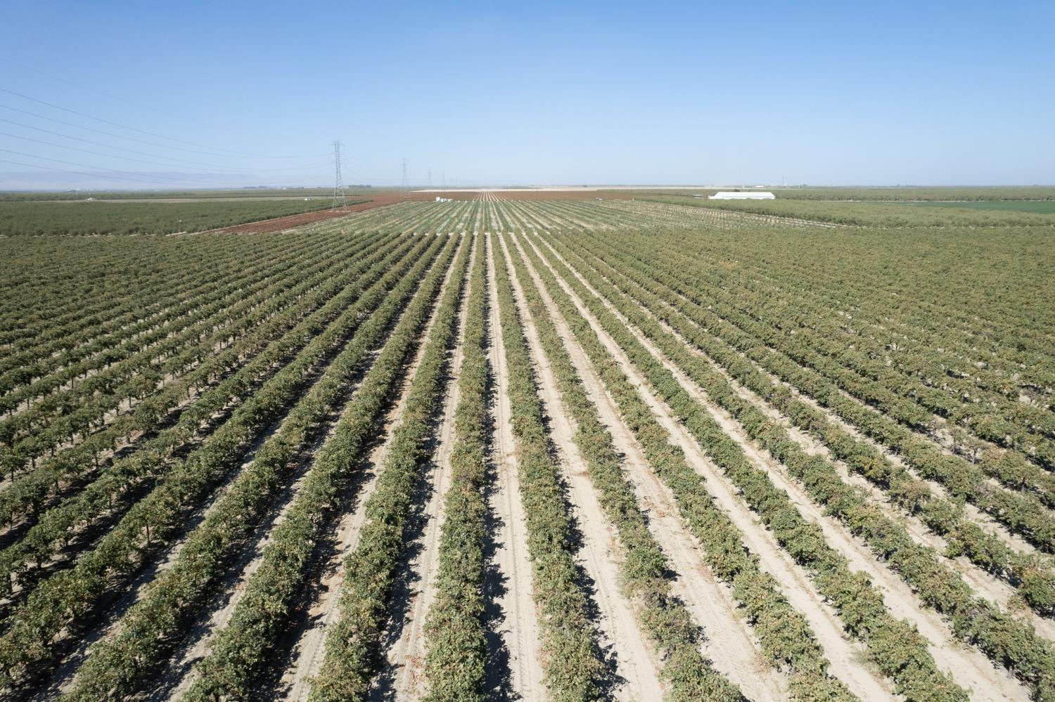 0 Manning Avenue Fresno, CA 93706 - Photo 18 of 20 a view of an ocean