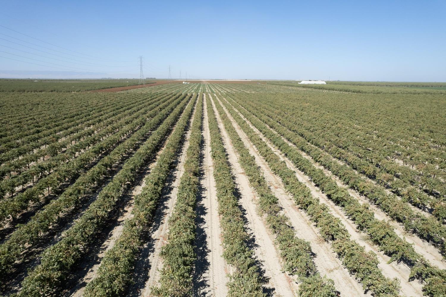 0 Manning Avenue Fresno, CA 93706 - Photo 19 of 20 a view of an ocean