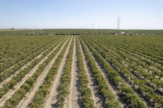 $1,540,000 | 0 Manning Avenue, Fresno, CA 93706