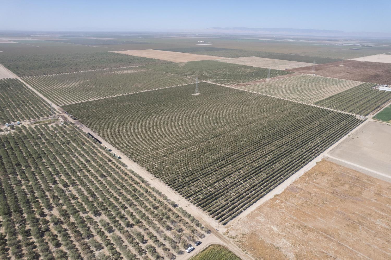 0 Manning Avenue Fresno, CA 93706 - Photo 2 of 20 a view of an empty space