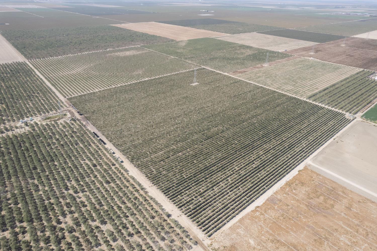 0 Manning Avenue Fresno, CA 93706 - Photo 3 of 20 a view of a backyard
