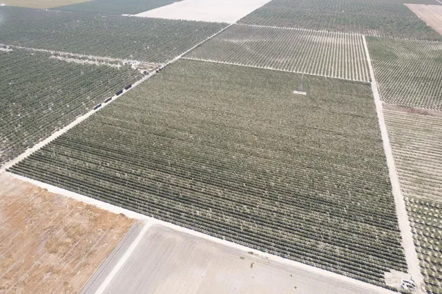 a view of a wooden floor