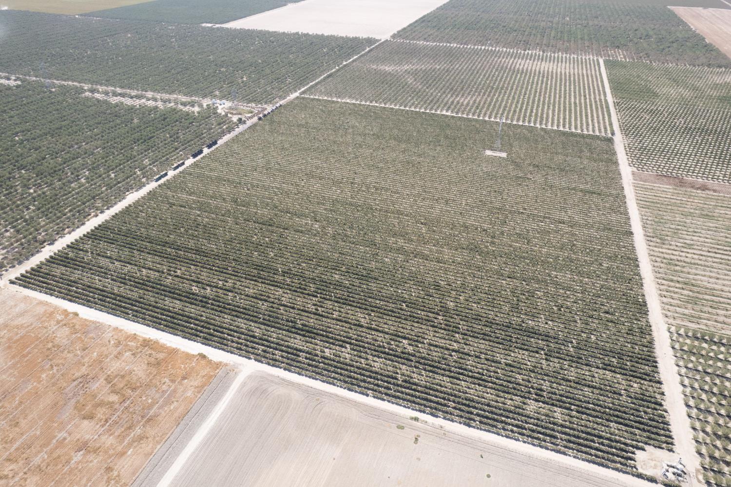 0 Manning Avenue Fresno, CA 93706 - Photo 5 of 20 a view of a wooden floor