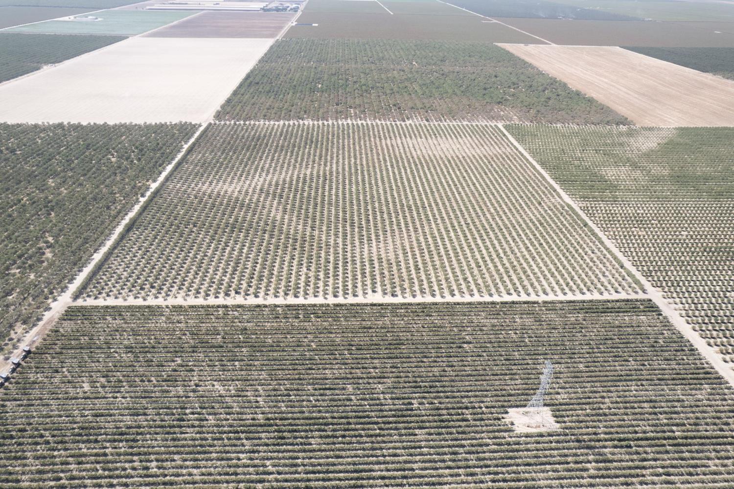 0 Manning Avenue Fresno, CA 93706 - Photo 6 of 20 a picture of a building