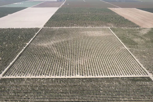 a view of a building from a terrace