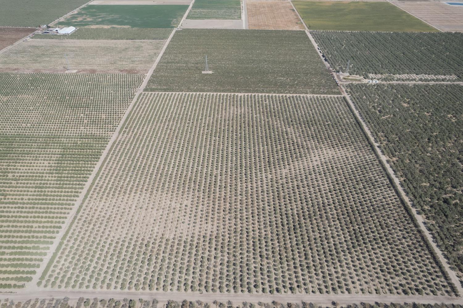 0 Manning Avenue Fresno, CA 93706 - Photo 8 of 20 a picture of a building