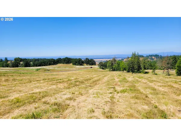 a open area with a yard