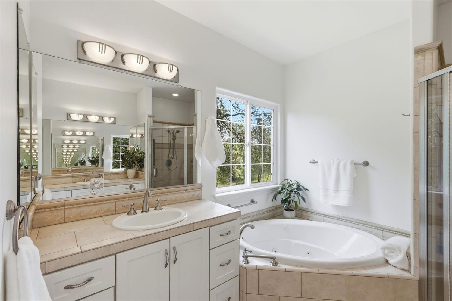 2030 Marden Drive Rescue, CA 95672 - Photo 55 of 96 a bathroom with a granite countertop sink a large mirror and a bathtub