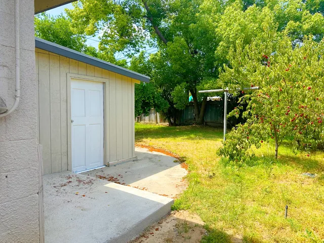 a view of a yard with a tree