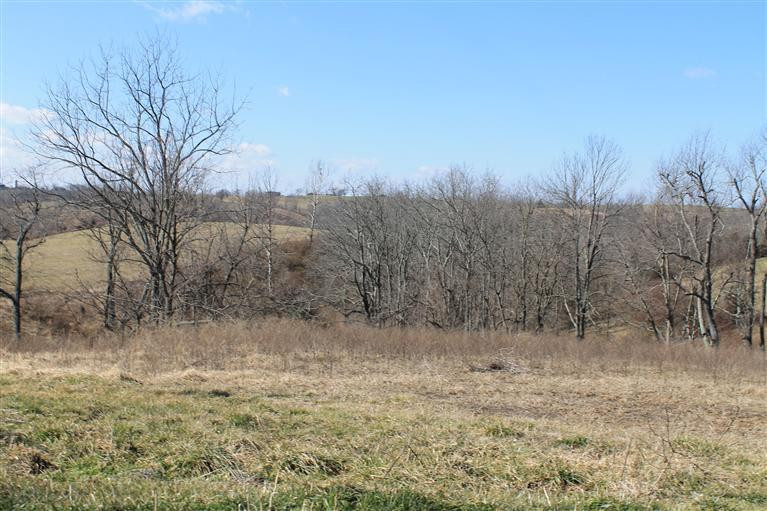 1 Nina Ridge Road Lancaster, KY 40444 - Photo 38 of 56 Photo 39
