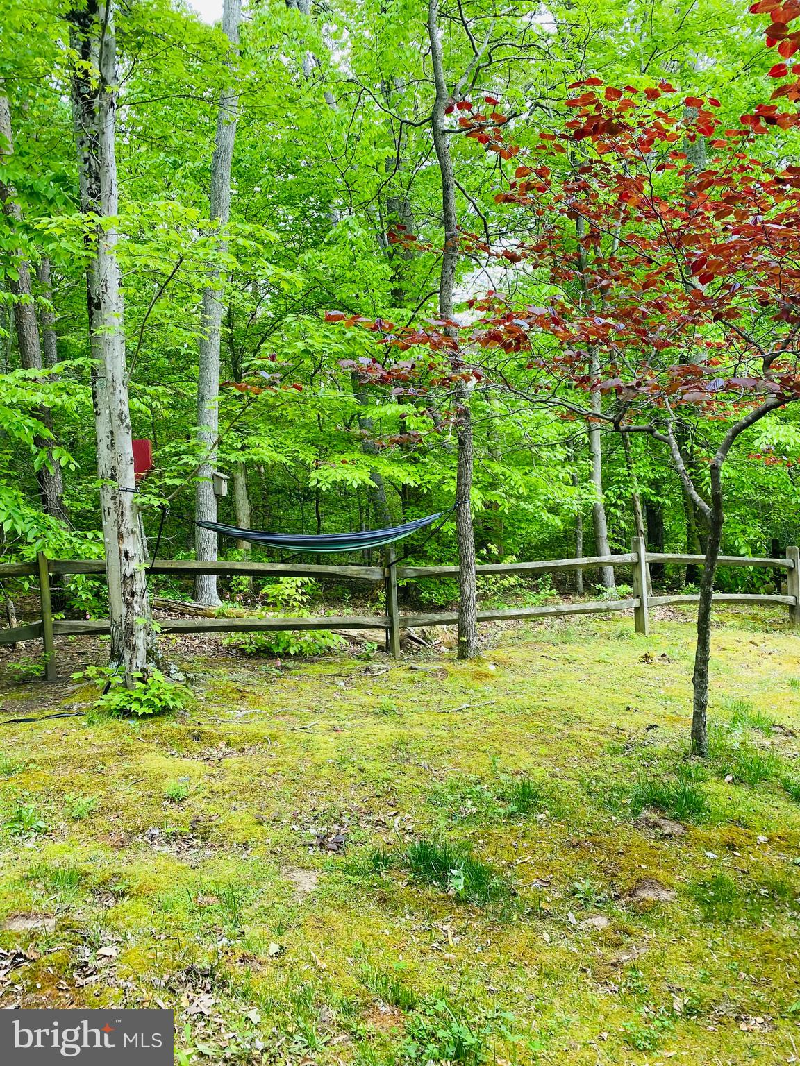 61 Quarry Road Stafford, VA 22554 - Photo 42 of 58 Gallery Image 42