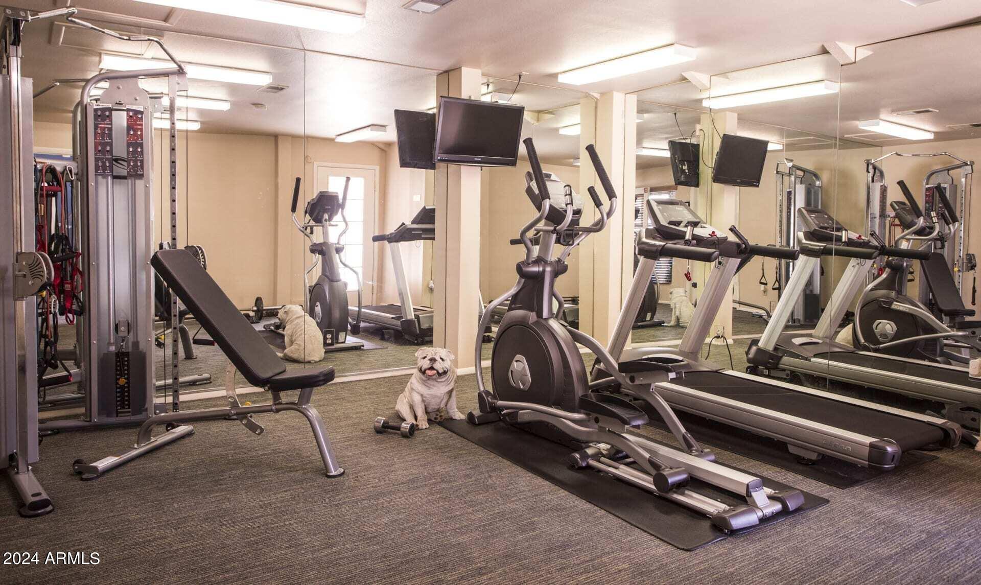 8450 North 67th Avenue, Unit 2 Glendale, AZ 85302 - Photo 4 of 6 Gym