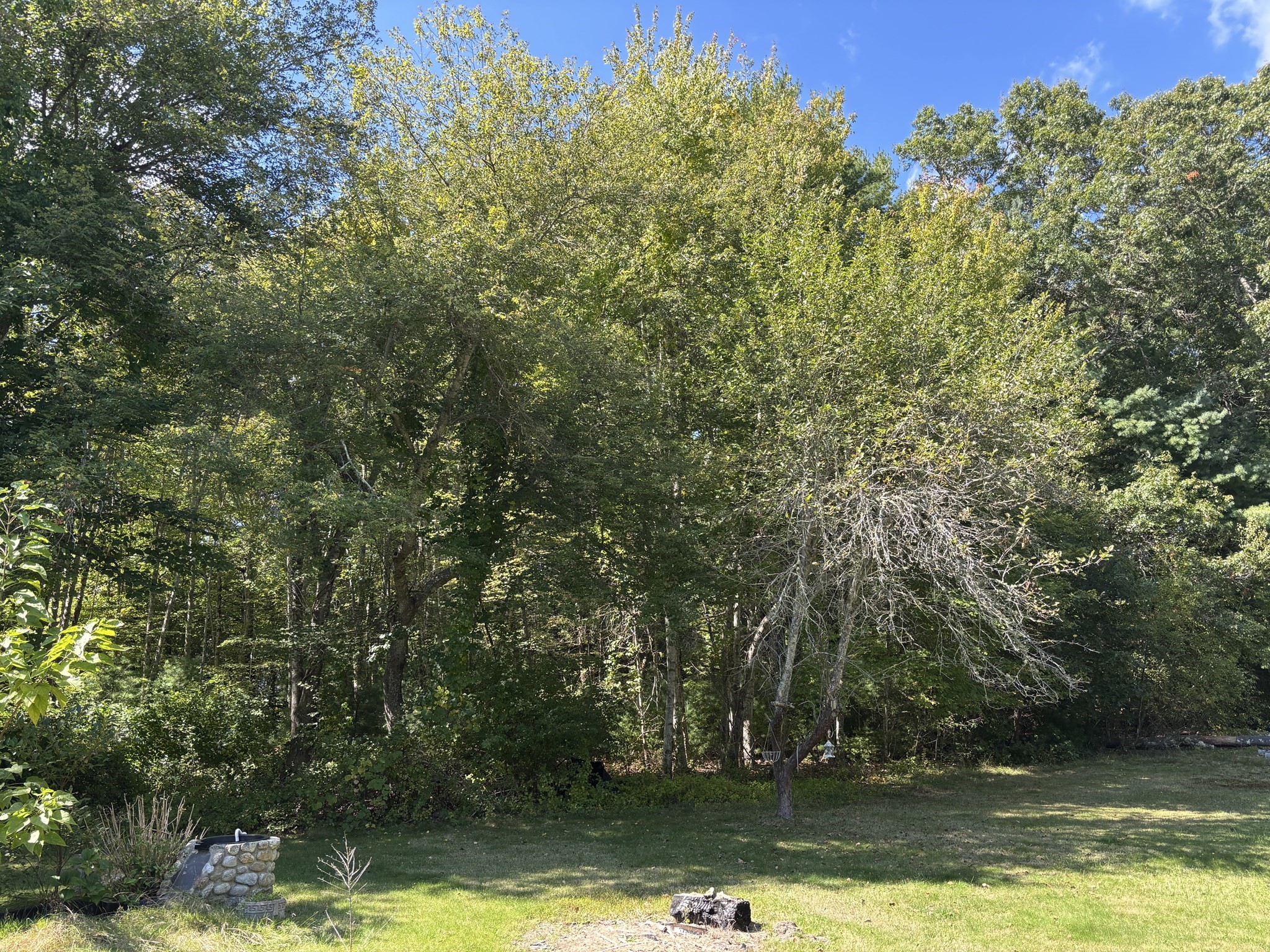 19 Rochester Road Carver, MA 02330 - Photo 3 of 5 Gallery Image 3
