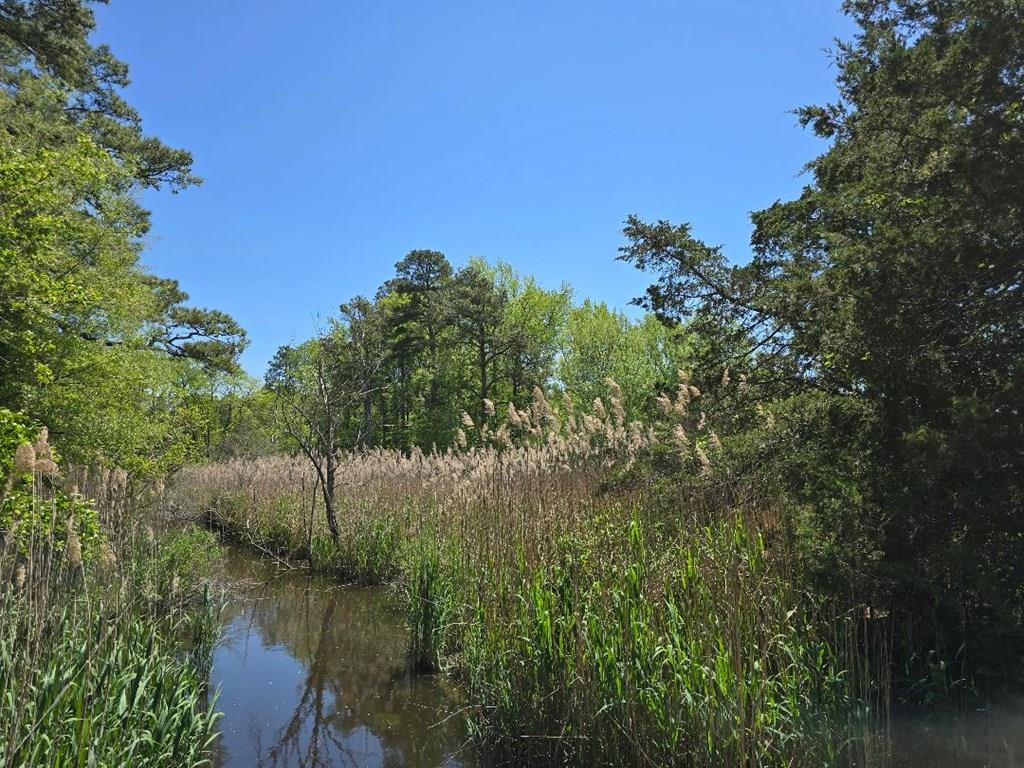 0 Guilford Road Bloxom, VA 23308 - Photo 1 of 4