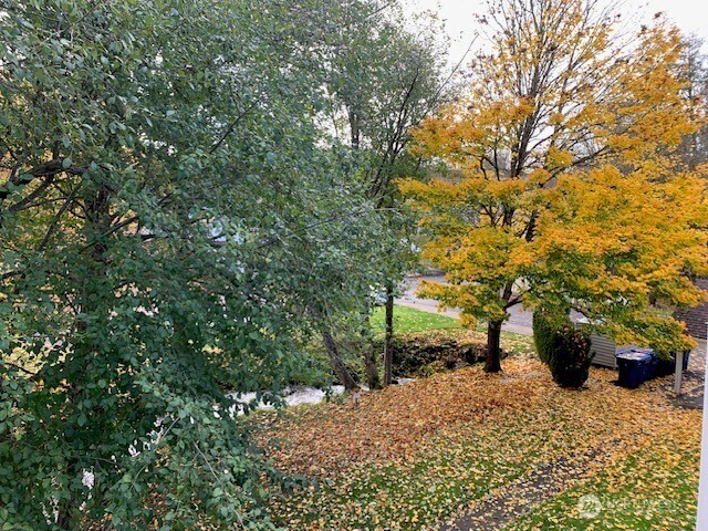 7453 Newcastle Golf Club Road, Unit A304 Newcastle, WA 98059 - Photo 5 of 19 a view of a backyard with plants and trees