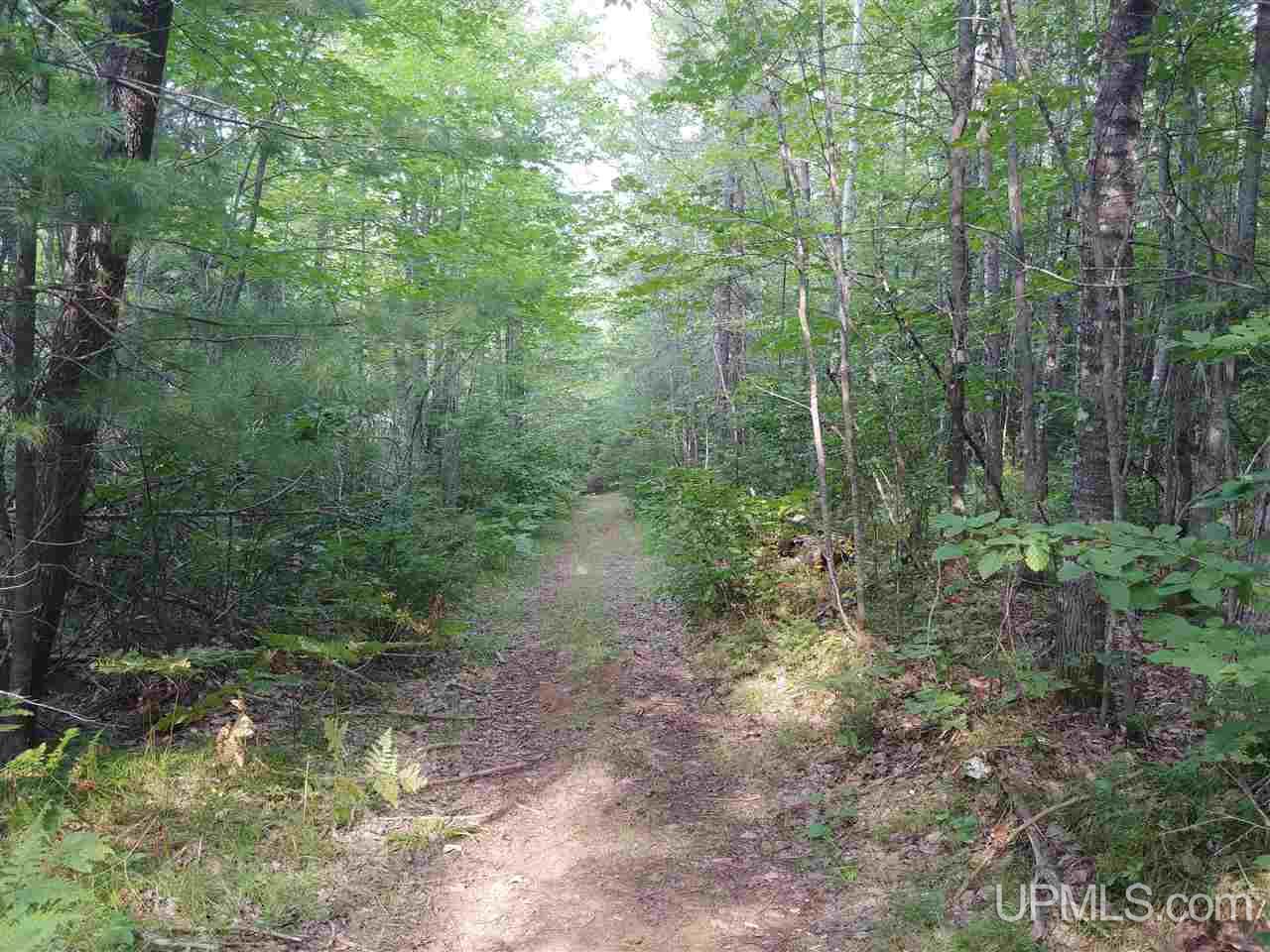 42-acres 42-acres Co Road Ishpeming, MI 49849 - Photo 13 of 16