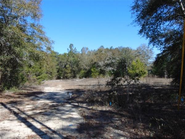191 Caswell Branch Road Freeport, FL 32439 - Photo 11 of 18 DSC01805