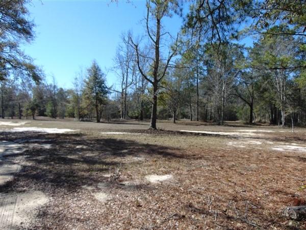 191 Caswell Branch Road Freeport, FL 32439 - Photo 14 of 18 DSC01808