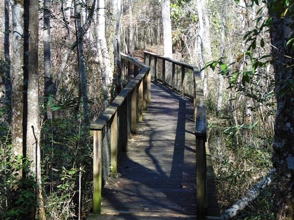 191 Caswell Branch Road Freeport, FL 32439 - Photo 16 of 18 Hammock Bay Property (3)