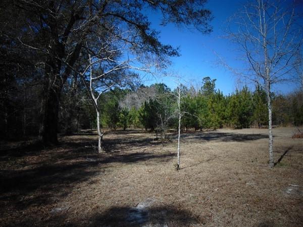 191 Caswell Branch Road Freeport, FL 32439 - Photo 4 of 18 DSC01791