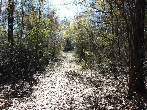 191 Caswell Branch Road Freeport, FL 32439 - Photo 8 of 18 DSC01798