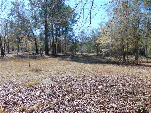 191 Caswell Branch Road Freeport, FL 32439 - Photo 9 of 18 DSC01799