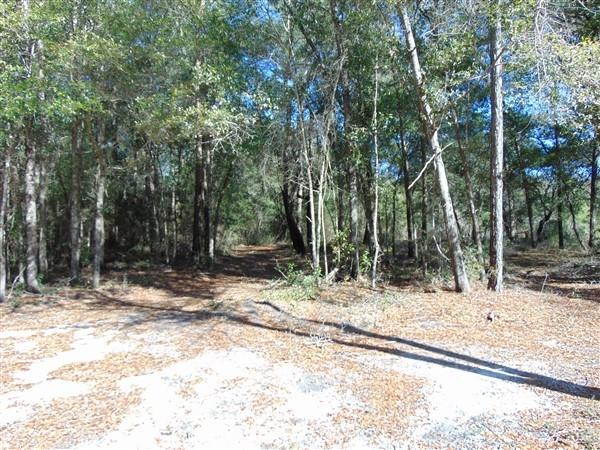 191 Caswell Branch Road Freeport, FL 32439 - Photo 10 of 18 DSC01803