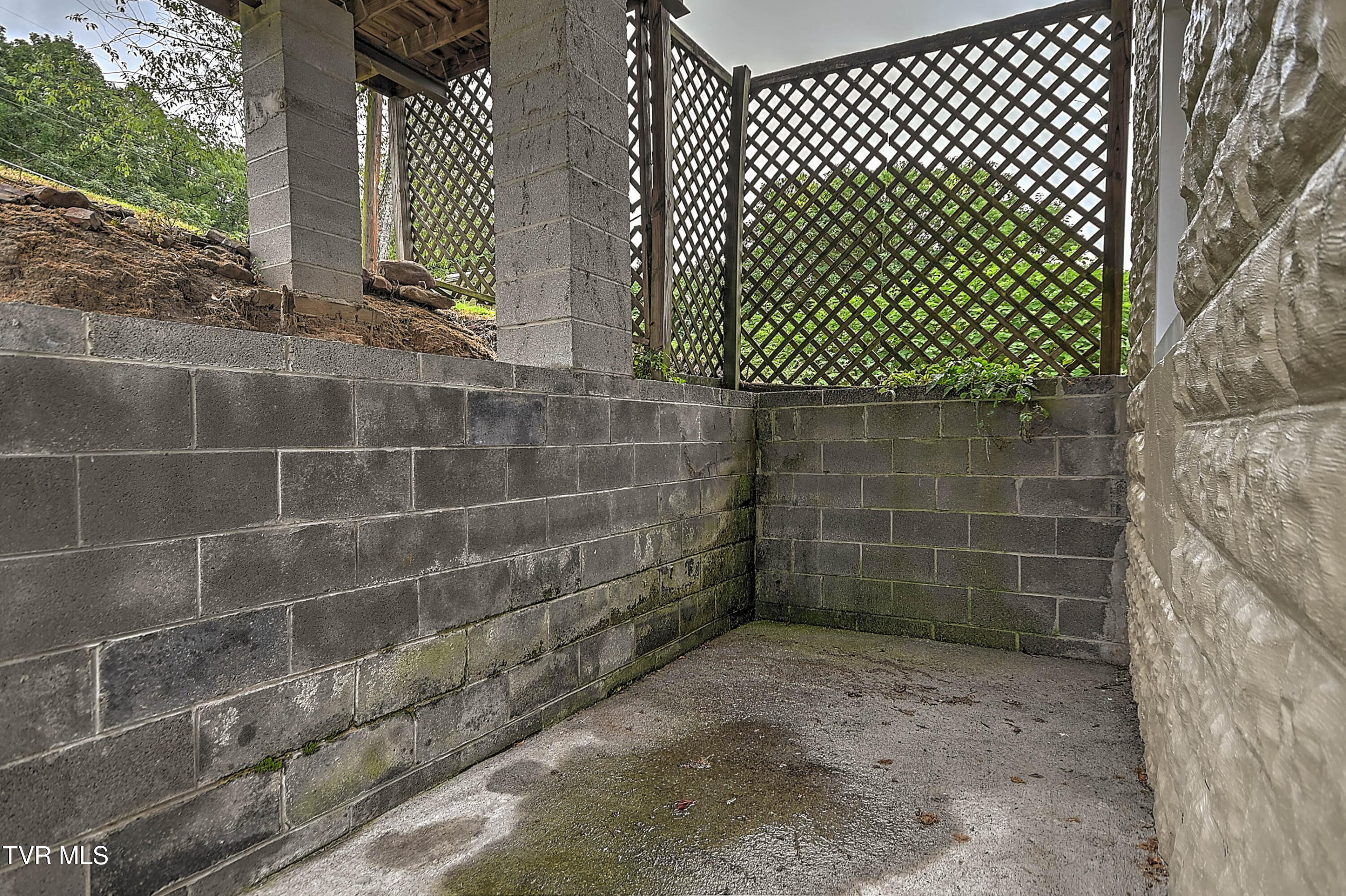 284 Railroad Avenue Duffield, VA 24244 - Photo 42 of 67 284 Railroad Ave DK-19