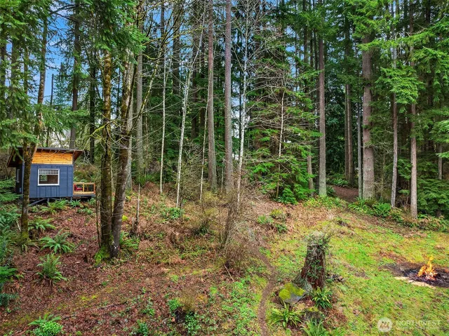 a view of backyard with green space