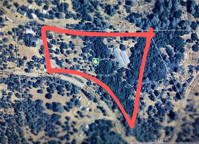 a view of a lot of flowers