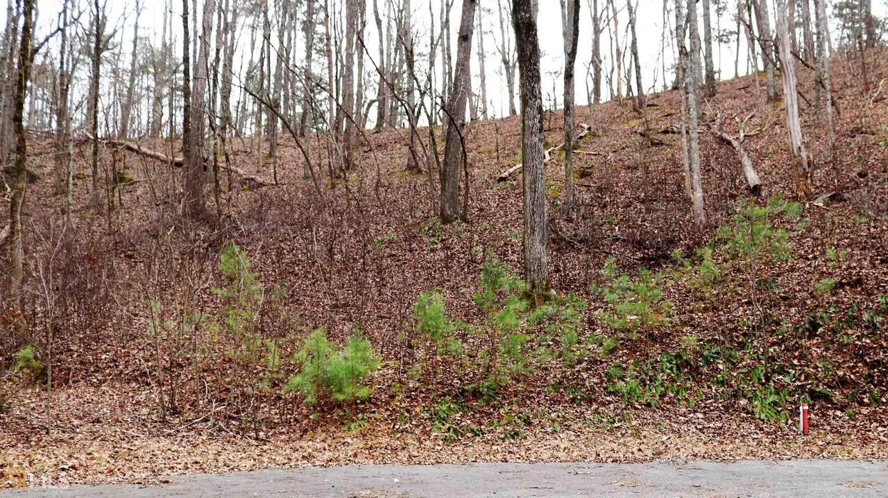 -145 Hopewell Road Ranger, GA 30734 - Photo 1 of 1 Build your Custom Home on your own Private Ridge!