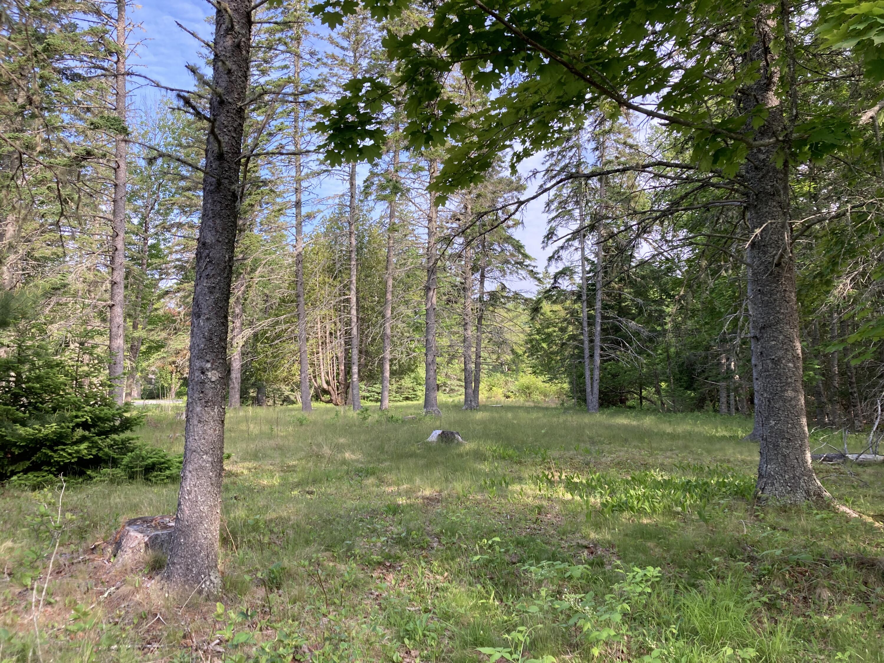 924 Point Road Hancock, ME 04640 - Photo 4 of 5 From corner across lot.