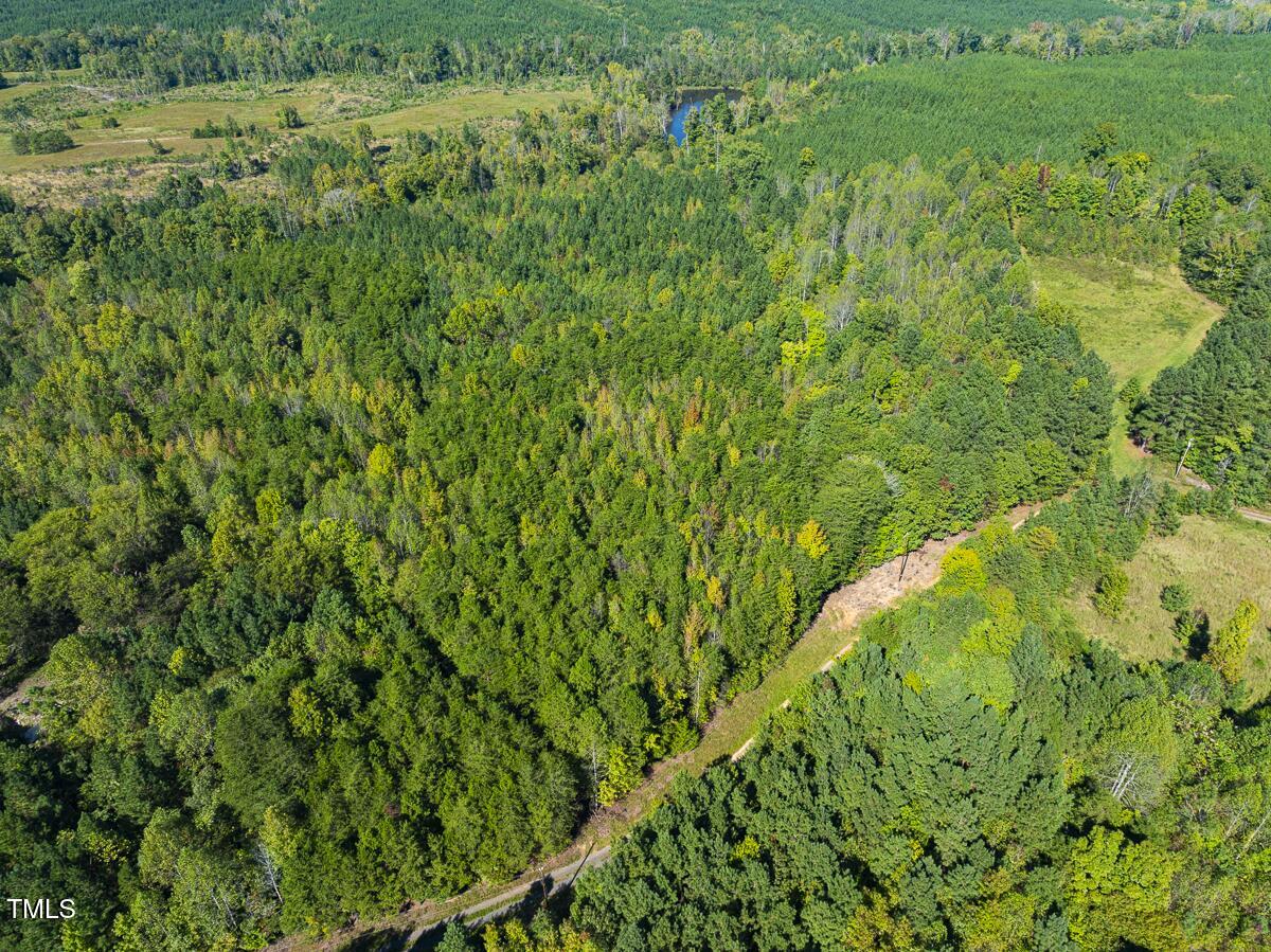 Lot-8-00 Wilson Road Providence, NC 27315 - Photo 12 of 45 Caswell Co. NC 16.55-Backwoods-Lot 8-12