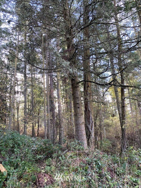 2 Div Road Anacortes, WA 98221 - Photo 2 of 9