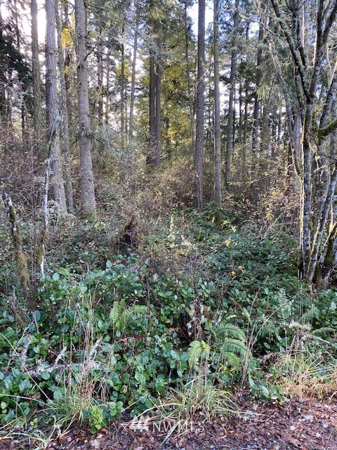2 Div Road Anacortes, WA 98221 - Photo 3 of 9