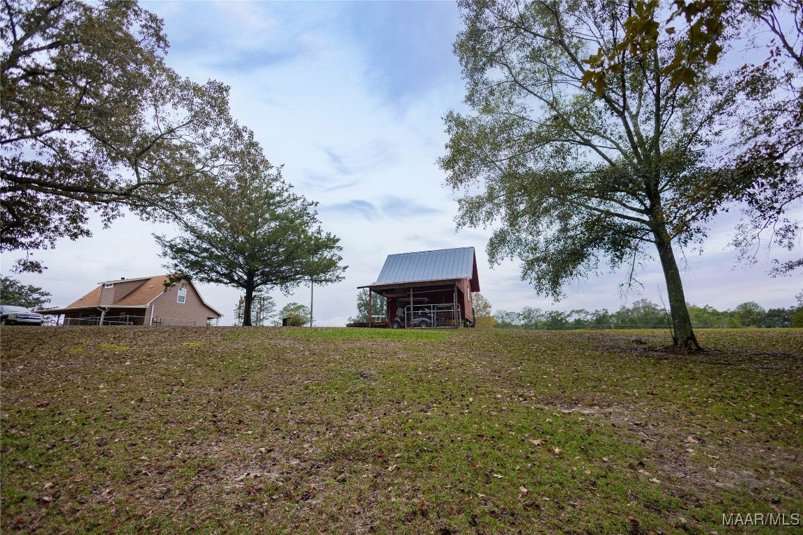 357 Highway 153 Samson, AL 36477 - Photo 10 of 52 Gallery Image 10