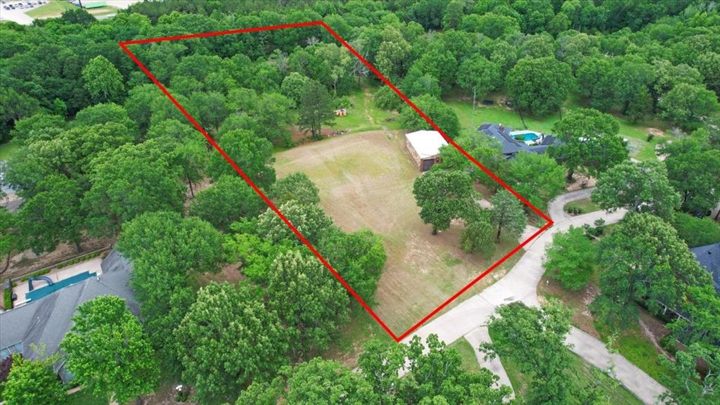 380 Timber Lakes Drive Powderly, TX 75473 - Photo 14 of 19 a view of a yard with potted plants and large tree