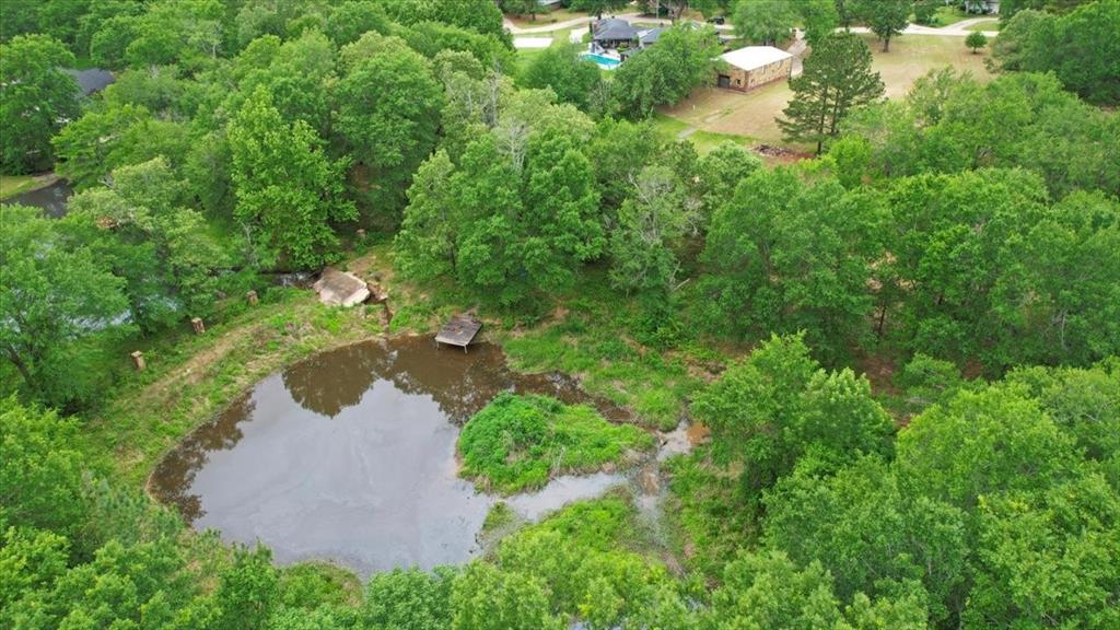 380 Timber Lakes Drive Powderly, TX 75473 - Photo 18 of 19 an aerial view of residential house with outdoor space and trees all around